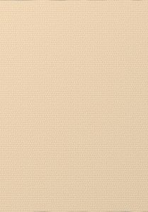 Tapet fibra sticla NOVELIO, 170gr/mp, 25mp-T1003.JPG