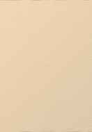 Tapet fibra sticla NOVELIO, 170gr/mp, 25mp-T1003.JPG